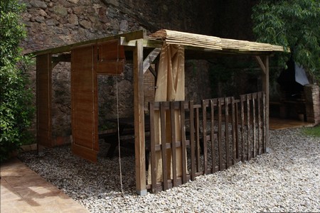 Image25