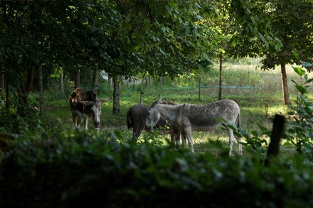 Image08