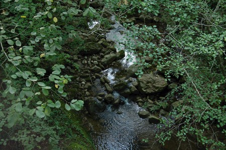 Image11