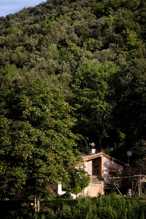 Image15