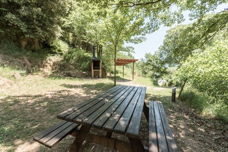 Image23
